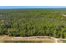 9478 N Timber Creek Terrace Dunnellon FL 34433 OM713177 image1