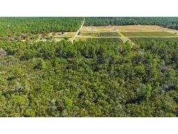 9478 N Timber Creek Terrace Dunnellon FL 34433 OM713177 image10