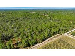 9478 N Timber Creek Terrace Dunnellon FL 34433 OM713177 image11