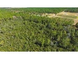 9478 N Timber Creek Terrace Dunnellon FL 34433 OM713177 image12