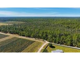 9478 N Timber Creek Terrace Dunnellon FL 34433 OM713177 image13