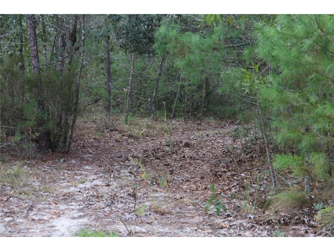 9478 N Timber Creek Terrace Dunnellon FL 34433 OM713177 image2