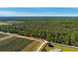 9478 N Timber Creek Terrace Dunnellon FL 34433 OM713177 image3