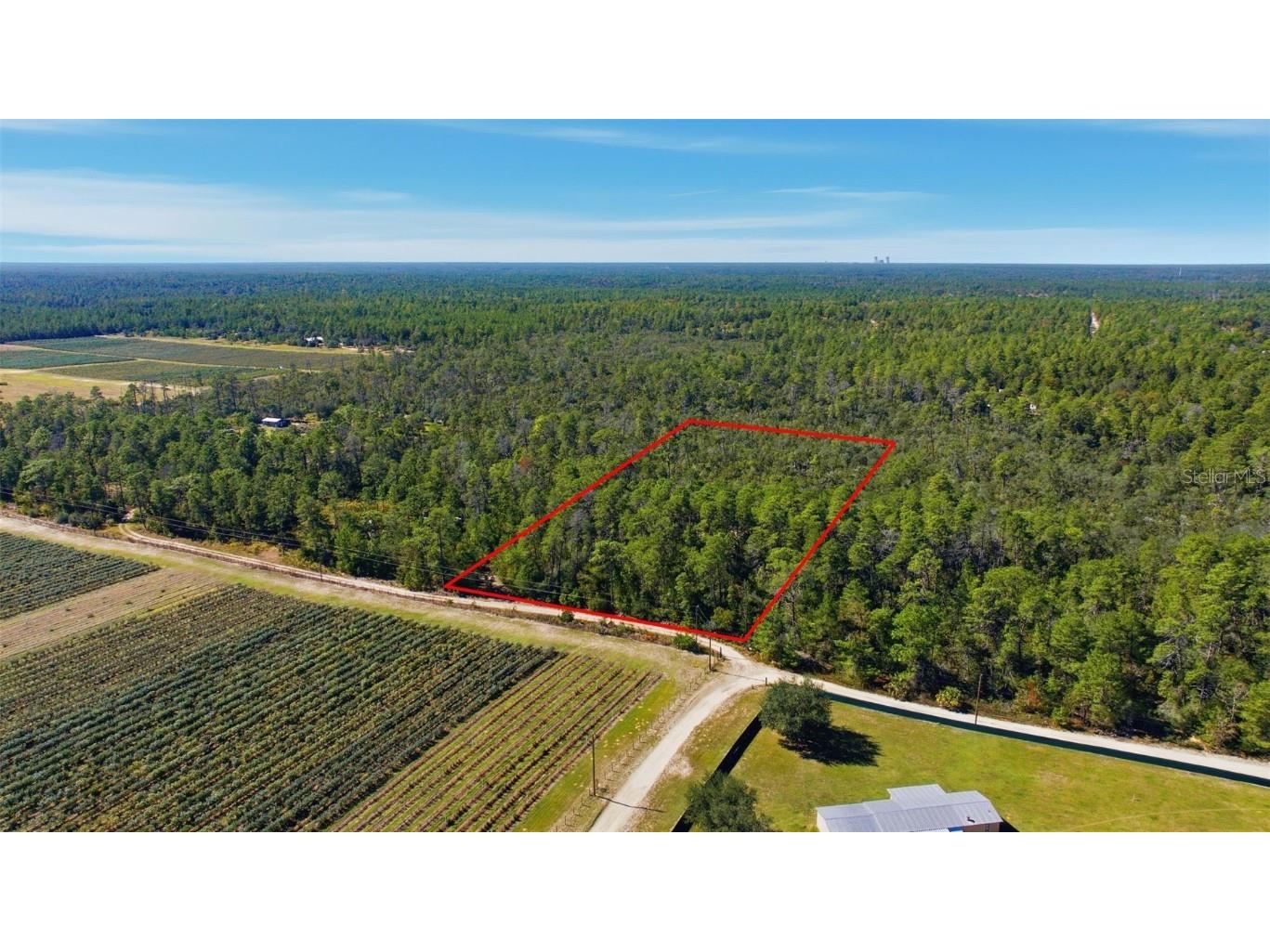 9478 N Timber Creek Terrace Dunnellon FL 34433 OM713177 image5