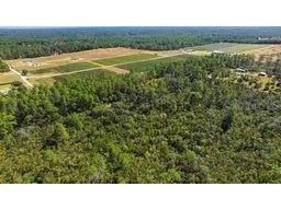 9478 N Timber Creek Terrace Dunnellon FL 34433 OM713177 image6