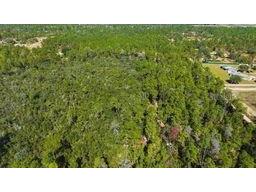 9478 N Timber Creek Terrace Dunnellon FL 34433 OM713177 image8