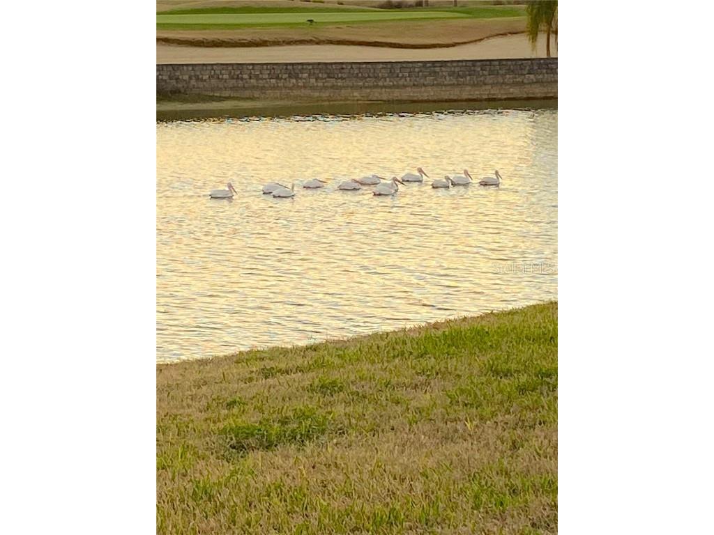 9479 SW 71st Loop Ocala FL 34481 - BUCKHEAD OM713710 image58