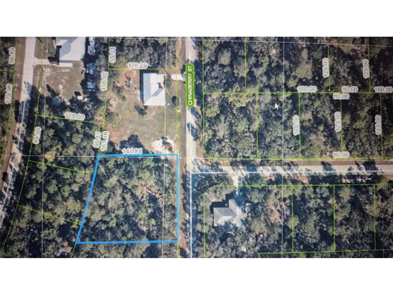 948 Chinaberry Street Lake Placid FL 33852 O6272096 image1