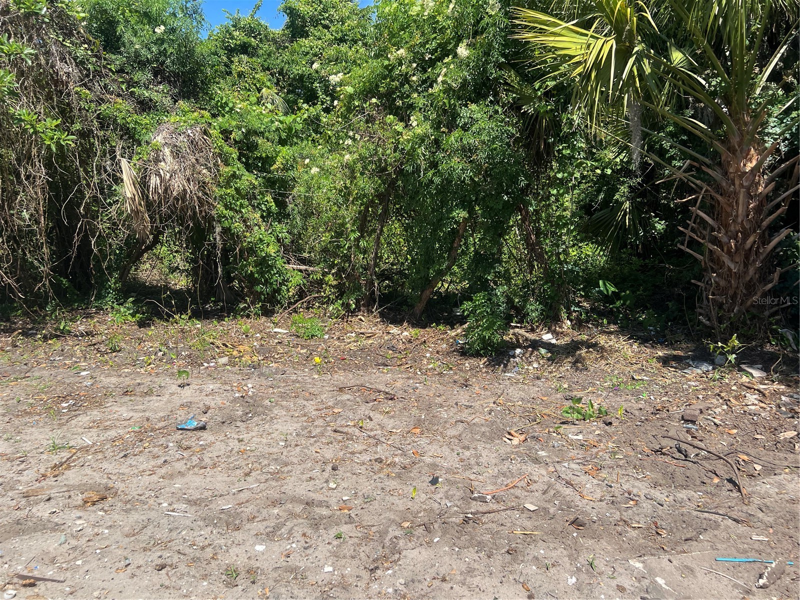 948 Cr 461 Lake Panasoffkee FL 33538 G5111147 image4