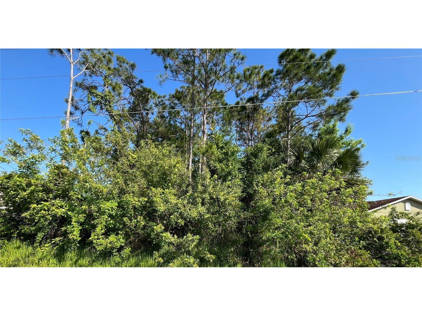 948 Louvre Court Kissimmee FL 34759 O6198593 image1