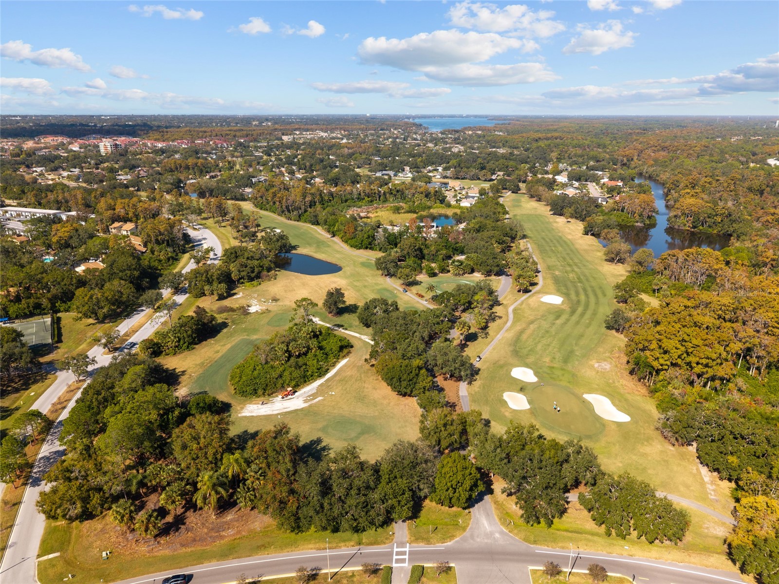 948 Lucas Lane Oldsmar FL 34677 TB8448286 image46