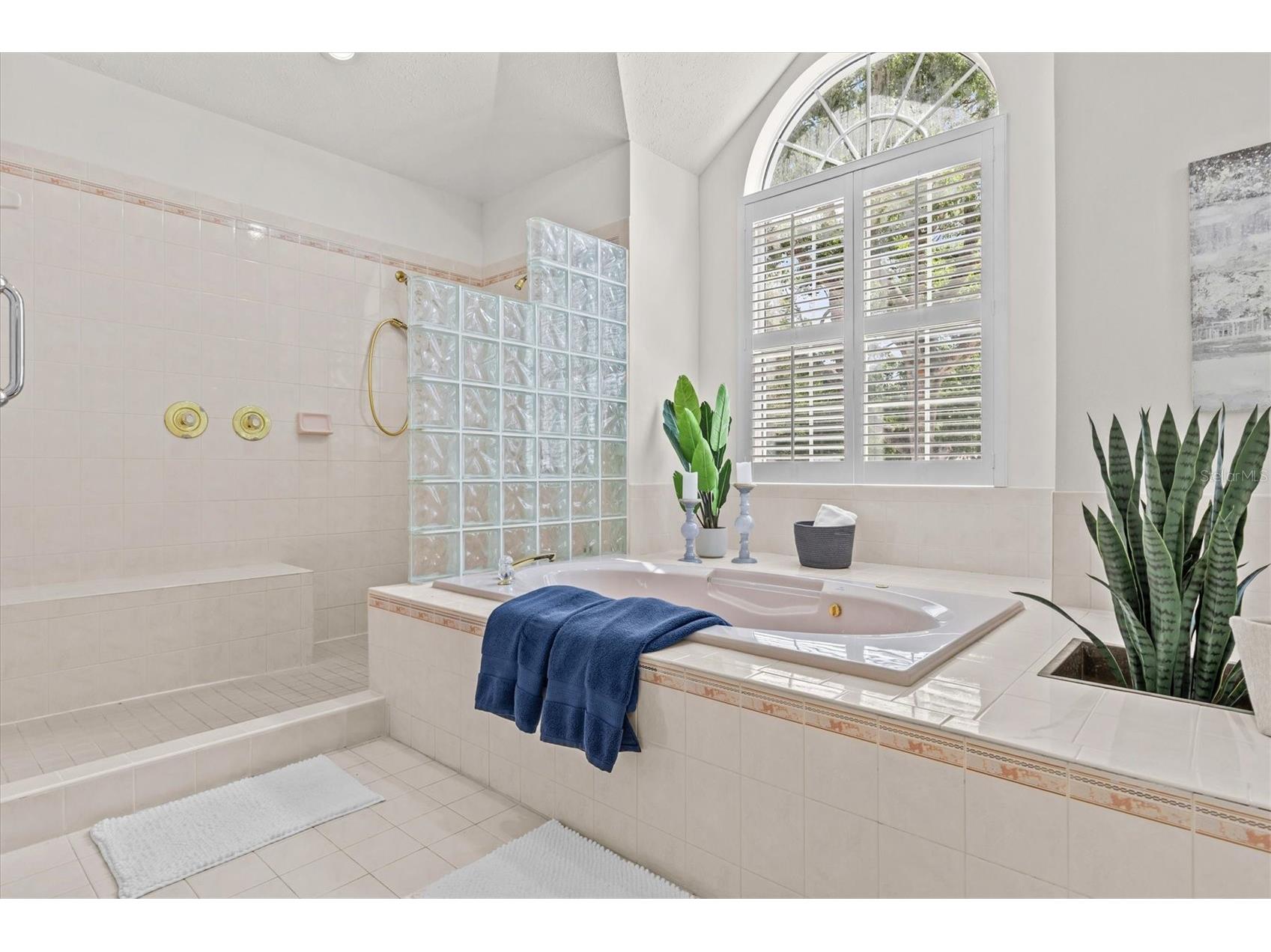 948 Riverside Ridge Road Tarpon Springs FL 34688 TB8505243 image25