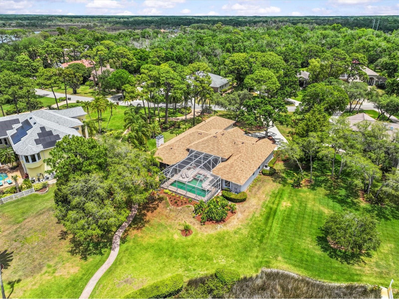948 Riverside Ridge Road Tarpon Springs FL 34688 TB8505243 image65