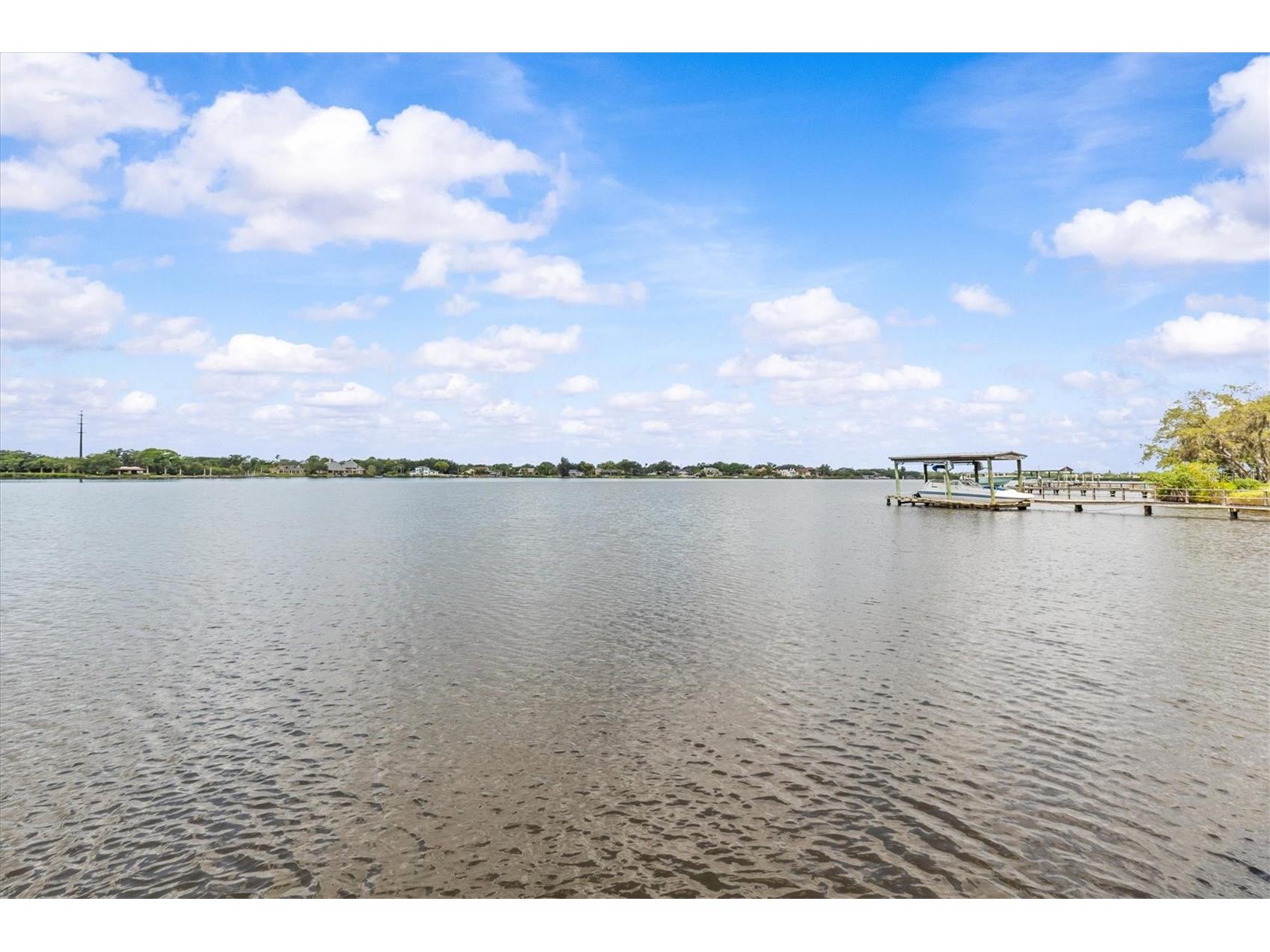 948 Riverside Ridge Road Tarpon Springs FL 34688 TB8505243 image67