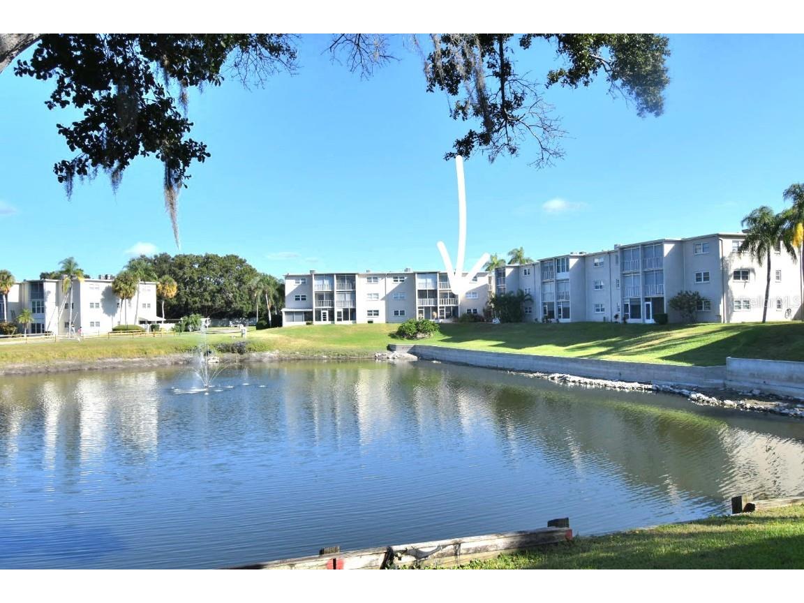 948 Virginia Street #107 Dunedin FL 34698 TB8440923 image1