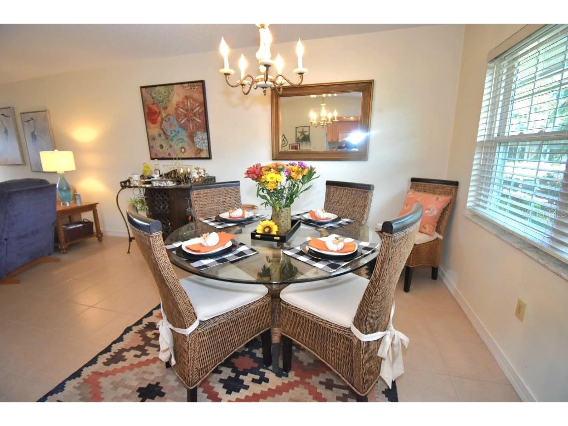 948 Virginia Street #107 Dunedin FL 34698 TB8440923 image11