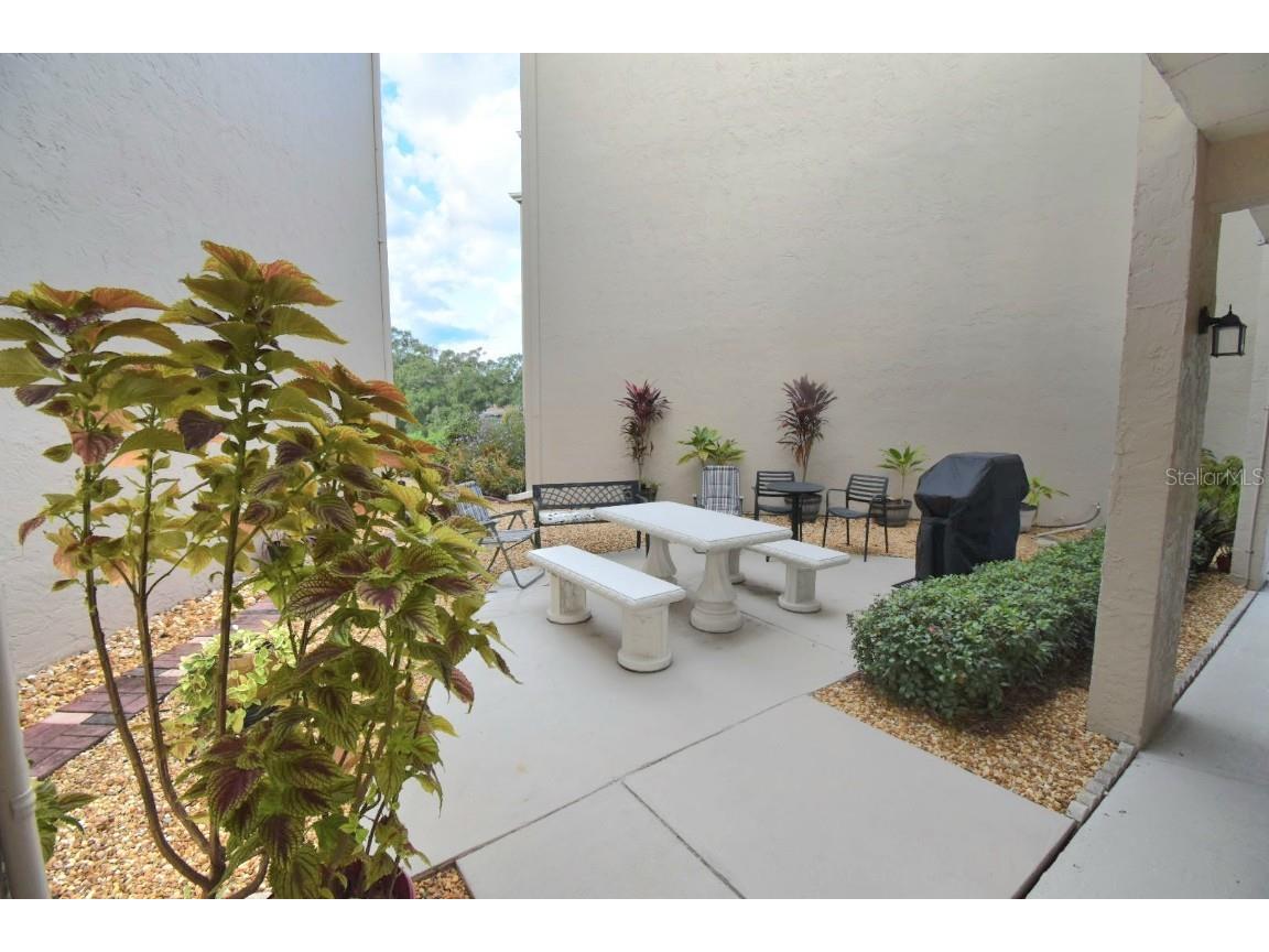 948 Virginia Street #107 Dunedin FL 34698 TB8440923 image21