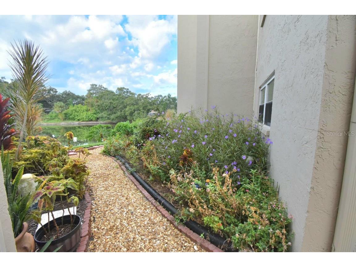 948 Virginia Street #107 Dunedin FL 34698 TB8440923 image23