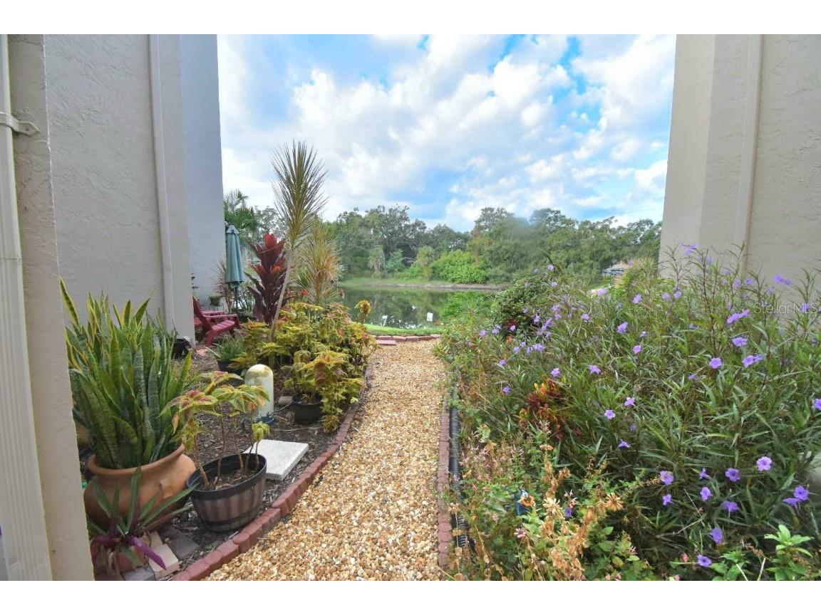 948 Virginia Street #107 Dunedin FL 34698 TB8440923 image24