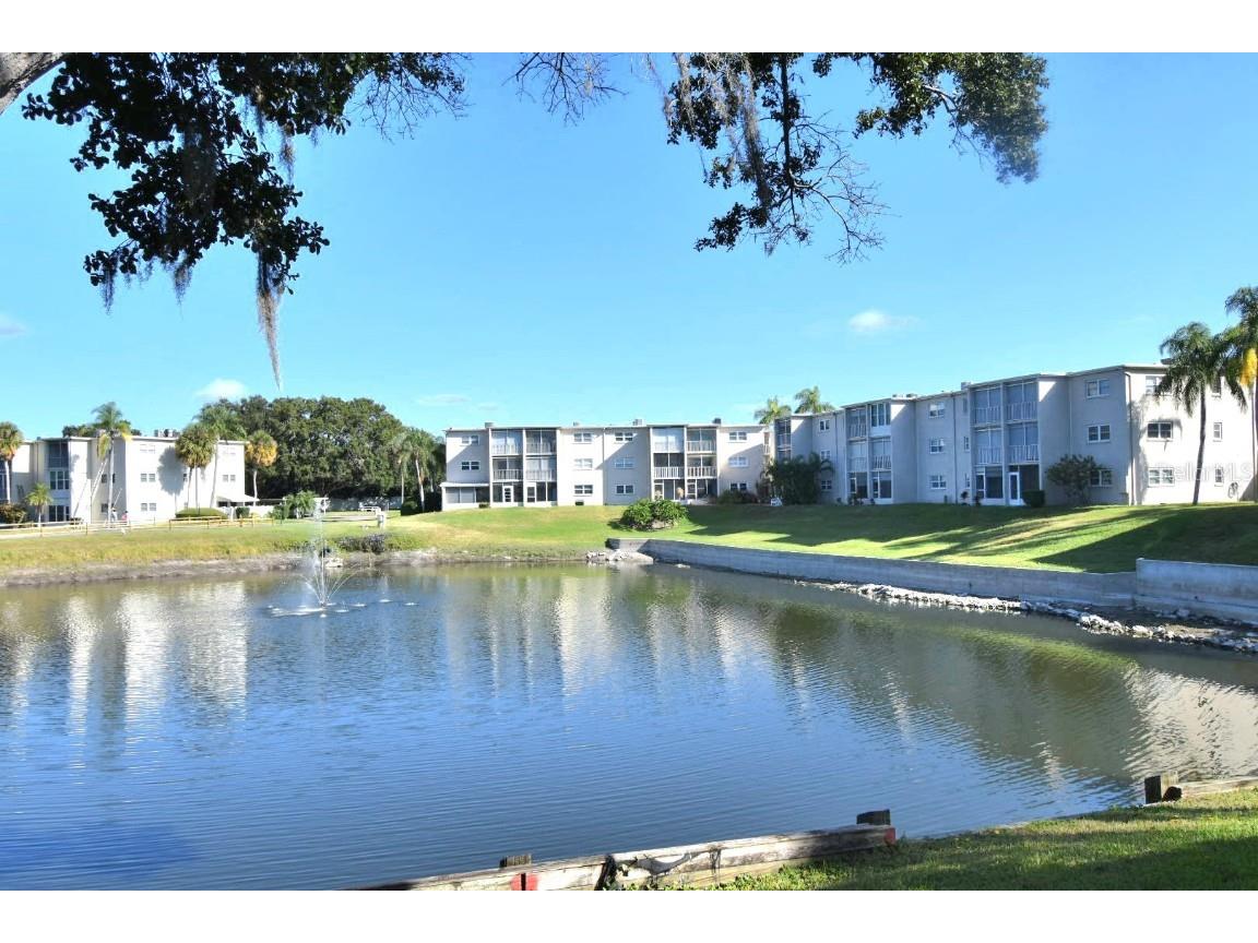 948 Virginia Street #107 Dunedin FL 34698 TB8440923 image4