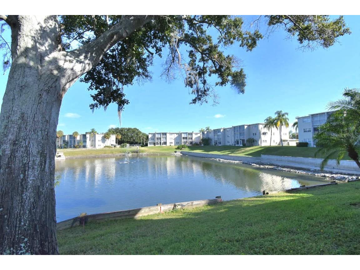 948 Virginia Street #107 Dunedin FL 34698 TB8440923 image5