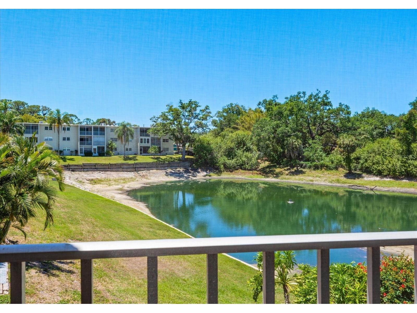 948 Virginia Street #207 Dunedin FL 34698 TB8506959 image14