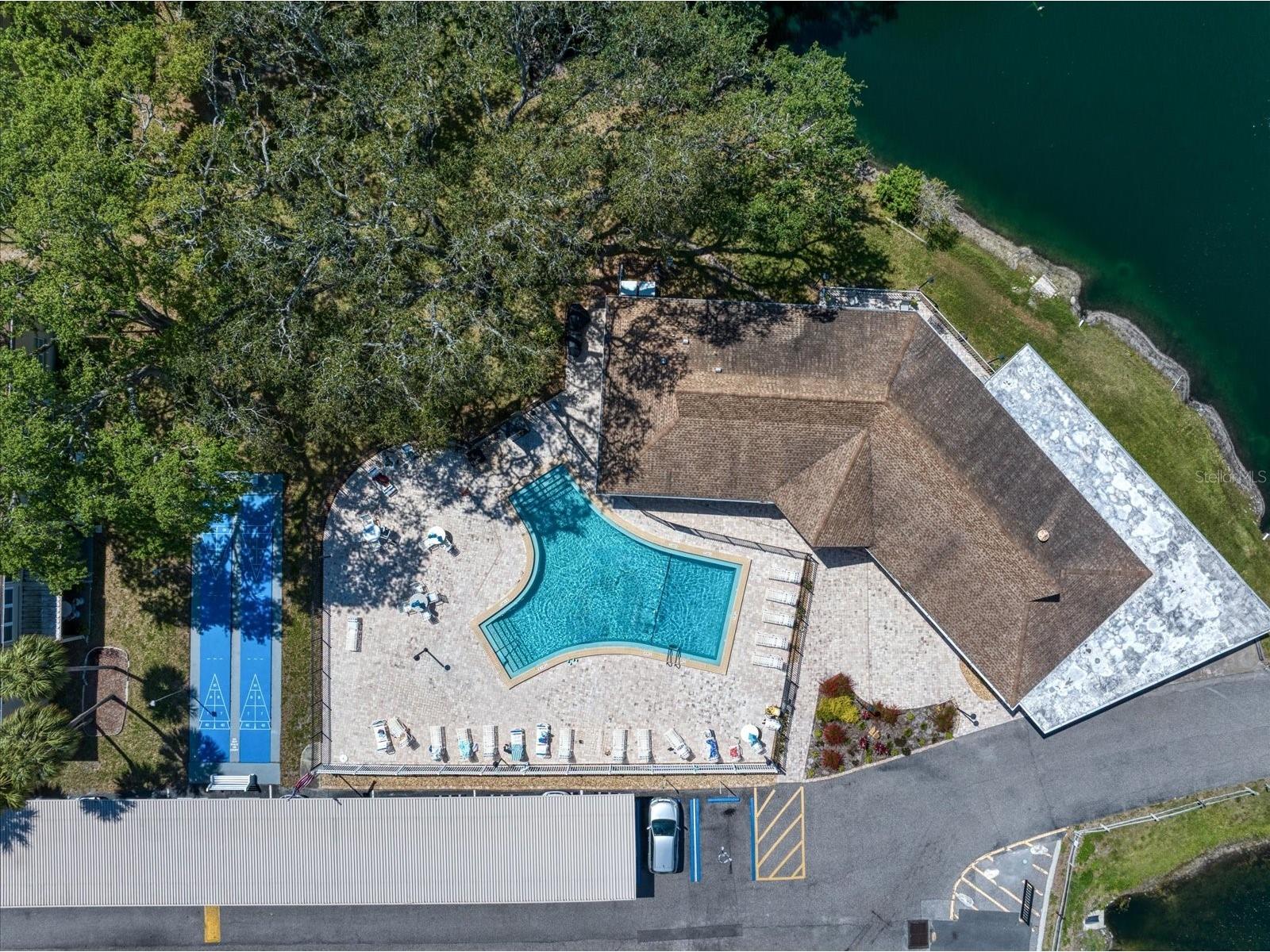 948 Virginia Street #207 Dunedin FL 34698 TB8506959 image34