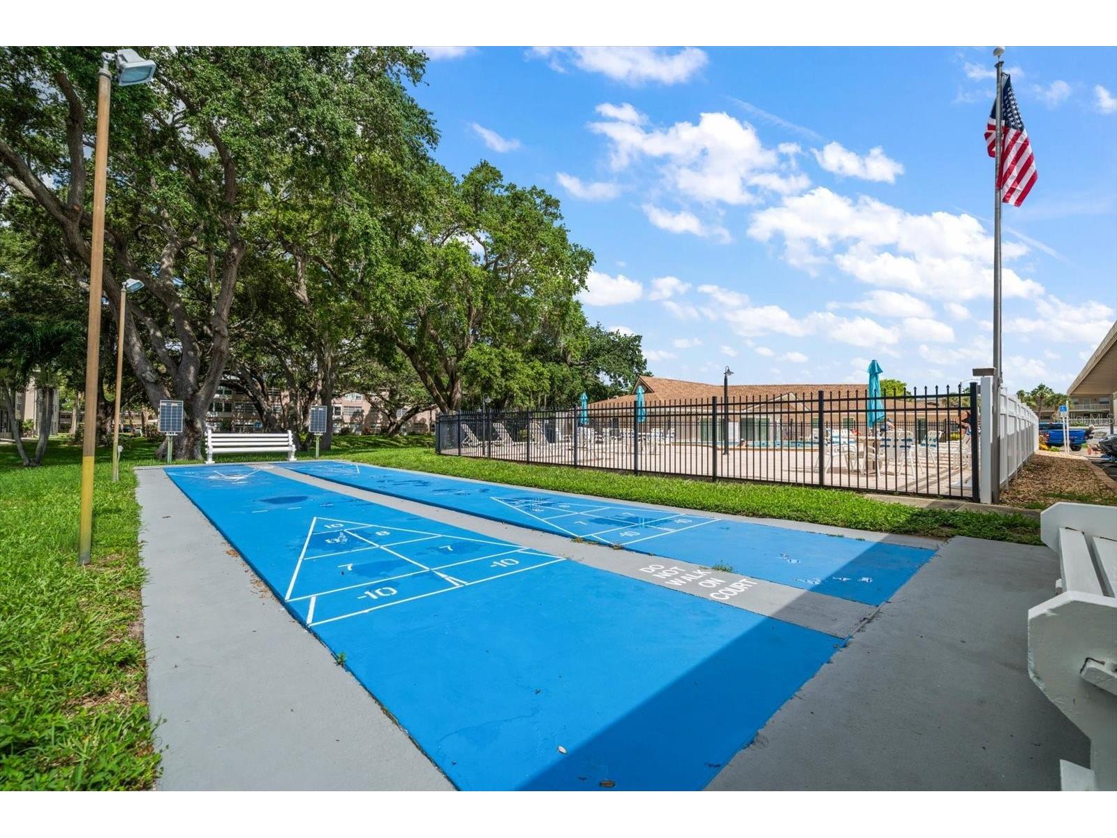 948 Virginia Street #207 Dunedin FL 34698 TB8506959 image35