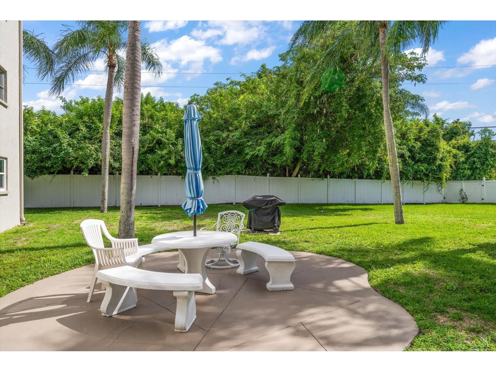 948 Virginia Street #207 Dunedin FL 34698 TB8506959 image39
