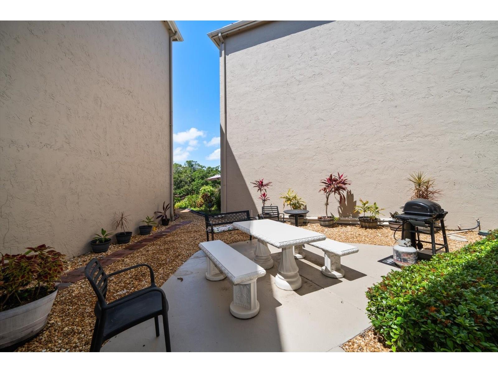 948 Virginia Street #207 Dunedin FL 34698 TB8506959 image40