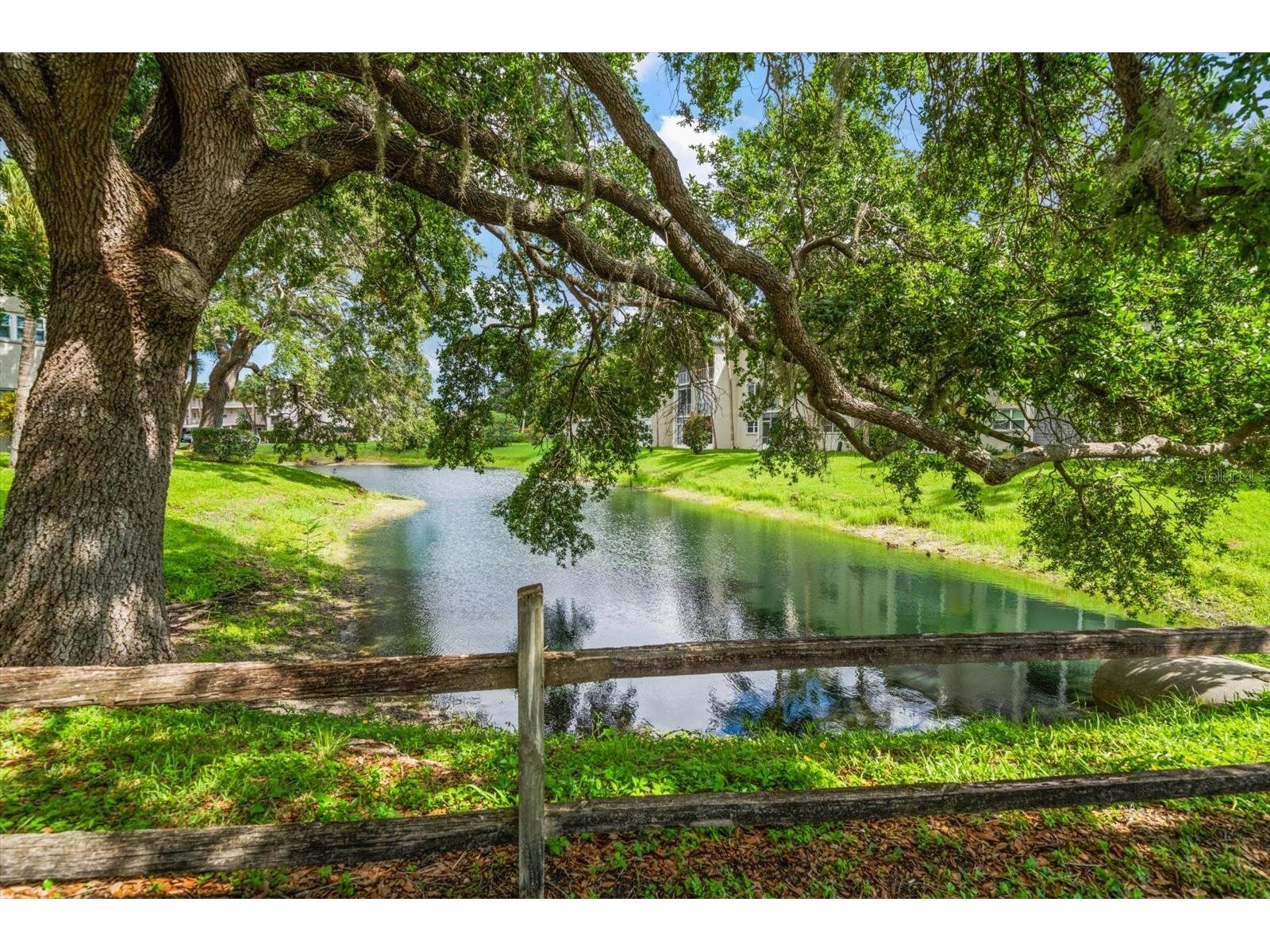 948 Virginia Street #207 Dunedin FL 34698 TB8506959 image41