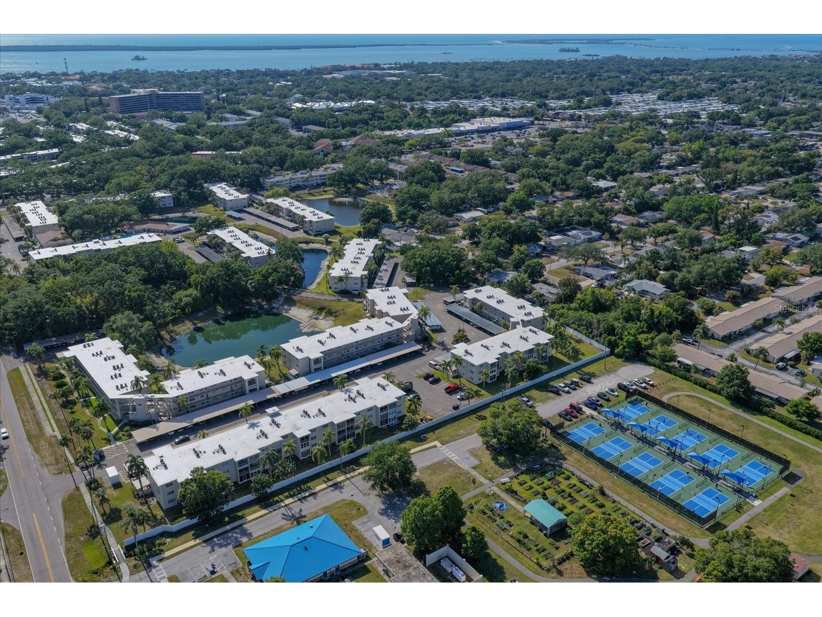 948 Virginia Street #207 Dunedin FL 34698 TB8506959 image42