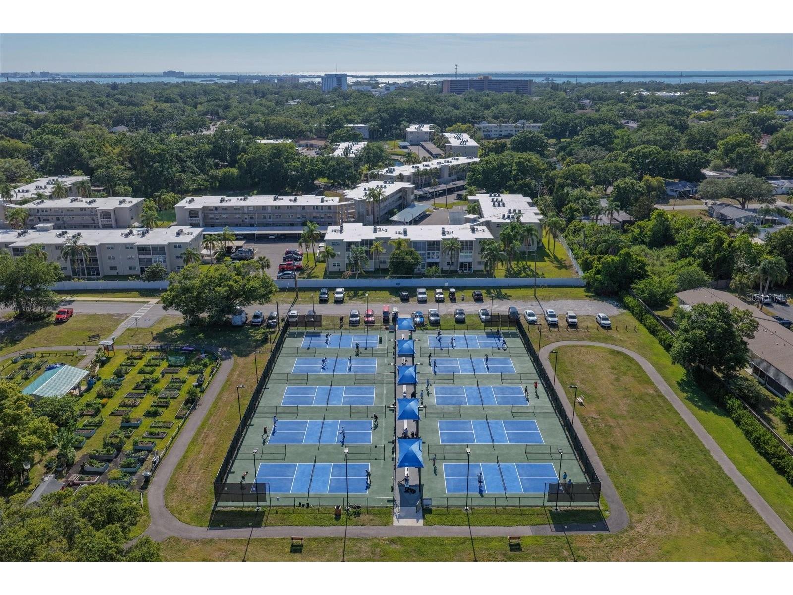 948 Virginia Street #207 Dunedin FL 34698 TB8506959 image43
