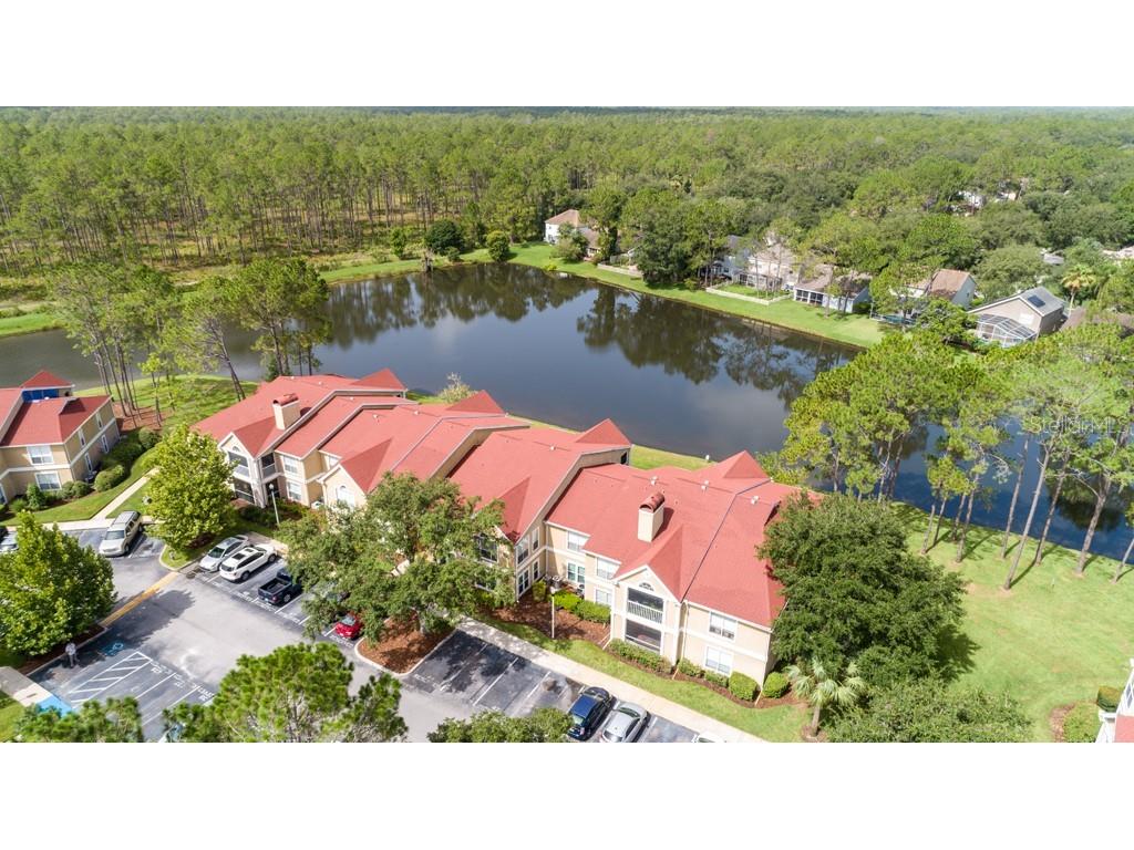 9481 Highland Oak Drive #1104 Tampa FL 33647 T3541154 image1