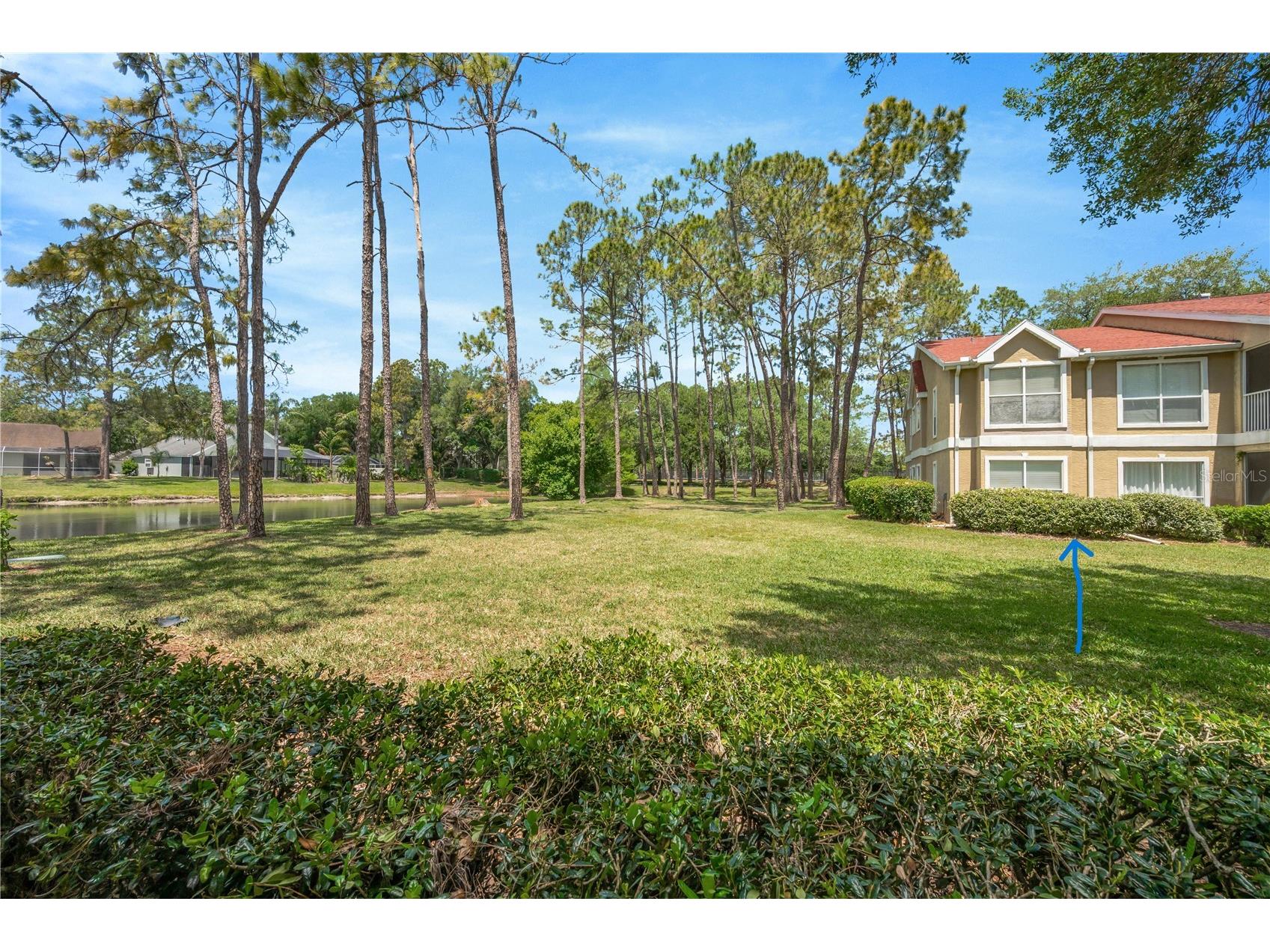 9481 Highland Oak Drive #1112 Tampa FL 33647 TB8500442 image3