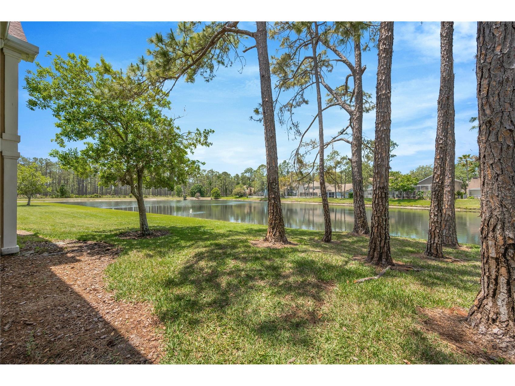 9481 Highland Oak Drive #1112 Tampa FL 33647 TB8500442 image5