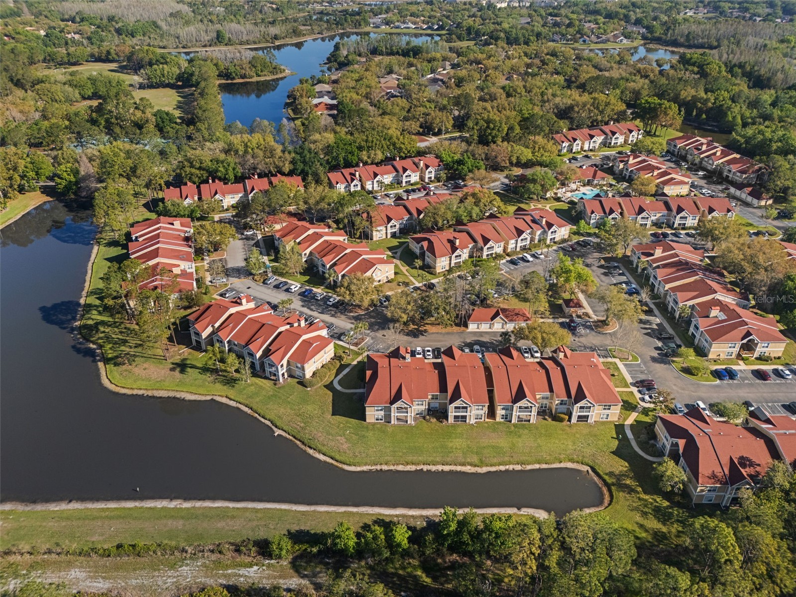 9481 Highland Oak Drive #1311 Tampa FL 33647 TB8489585 image5