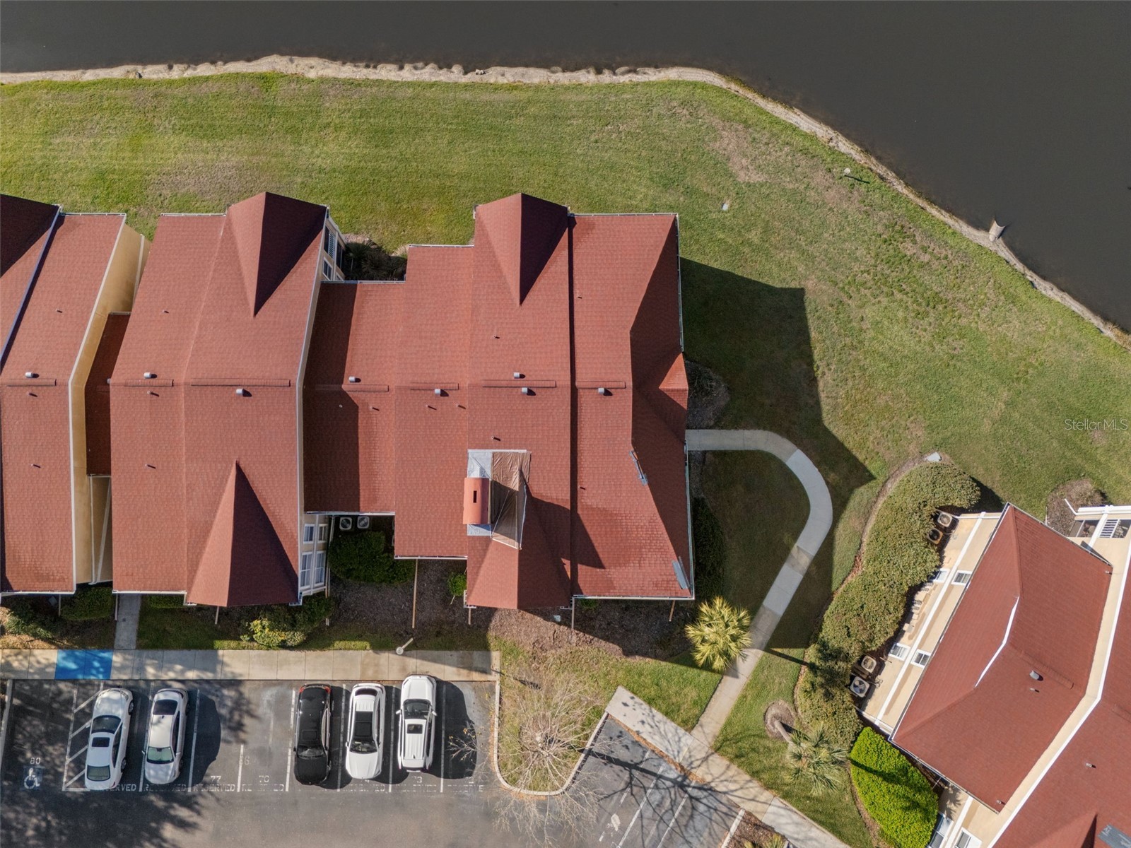 9481 Highland Oak Drive #1311 Tampa FL 33647 TB8489585 image54