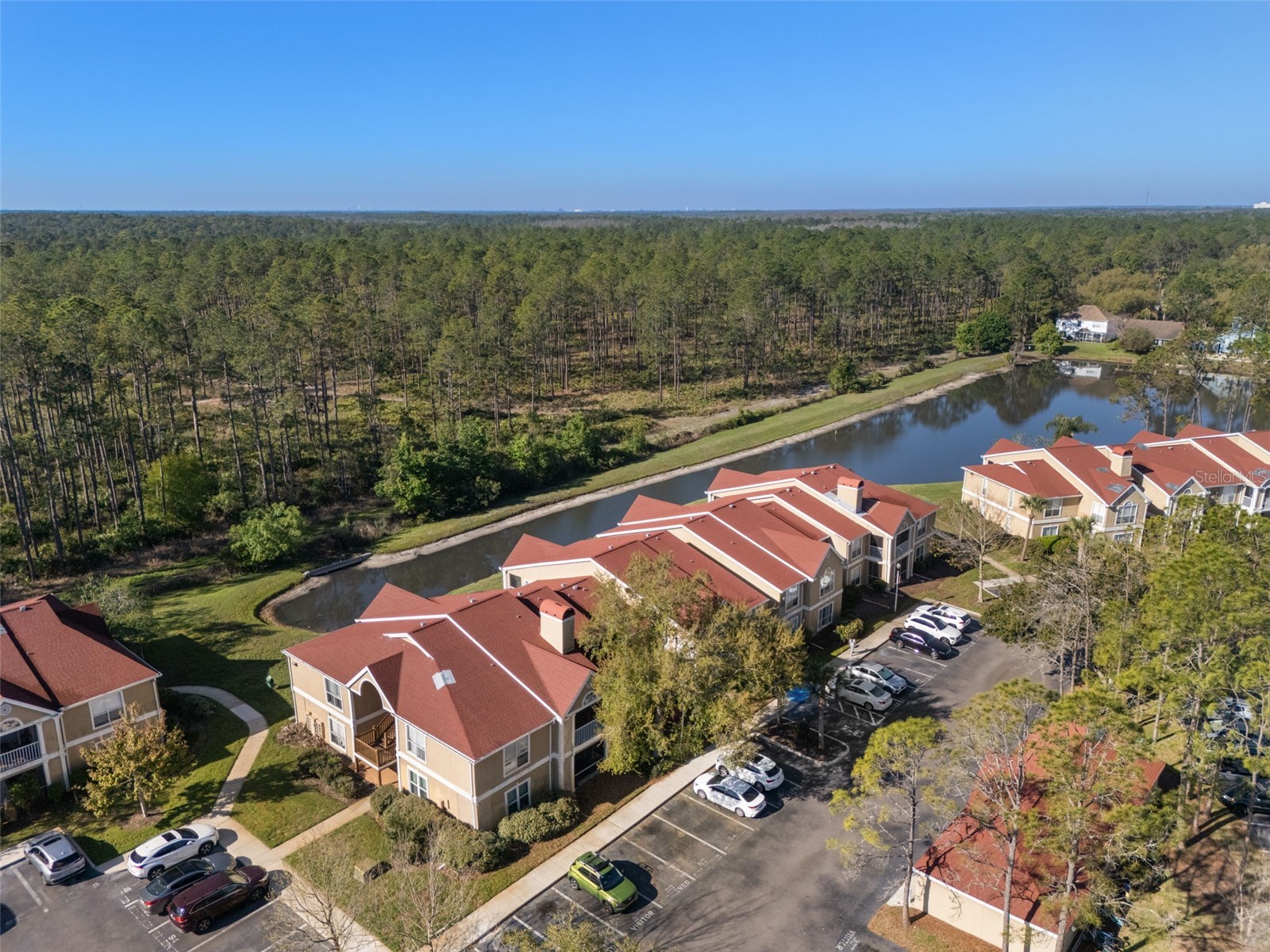 9481 Highland Oak Drive #1311 Tampa FL 33647 TB8489585 image65