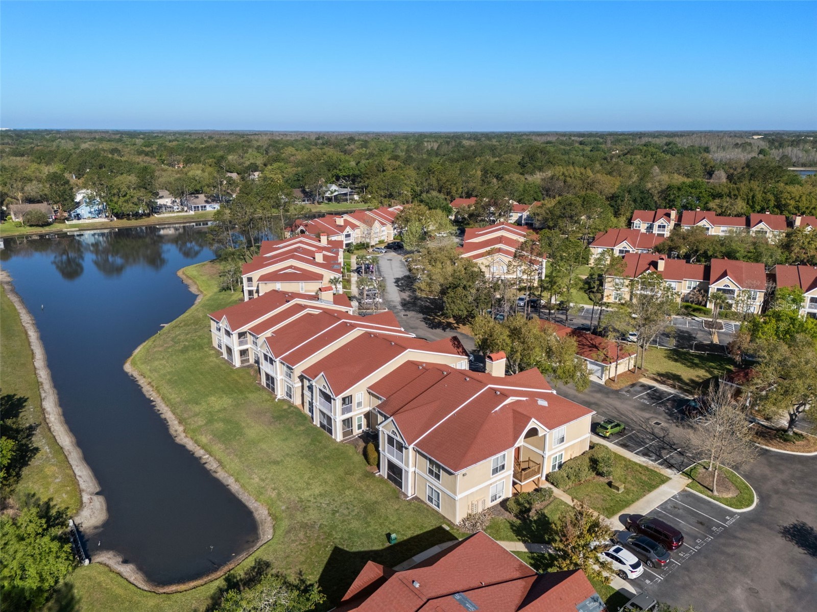 9481 Highland Oak Drive #1311 Tampa FL 33647 TB8489585 image66