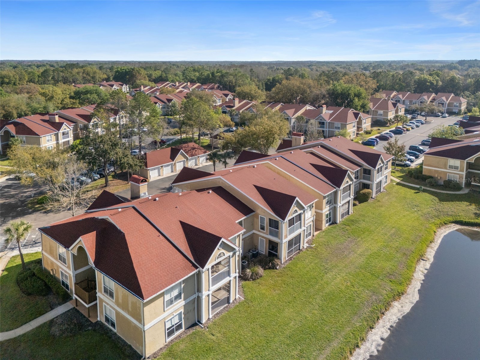 9481 Highland Oak Drive #1311 Tampa FL 33647 TB8489585 image67