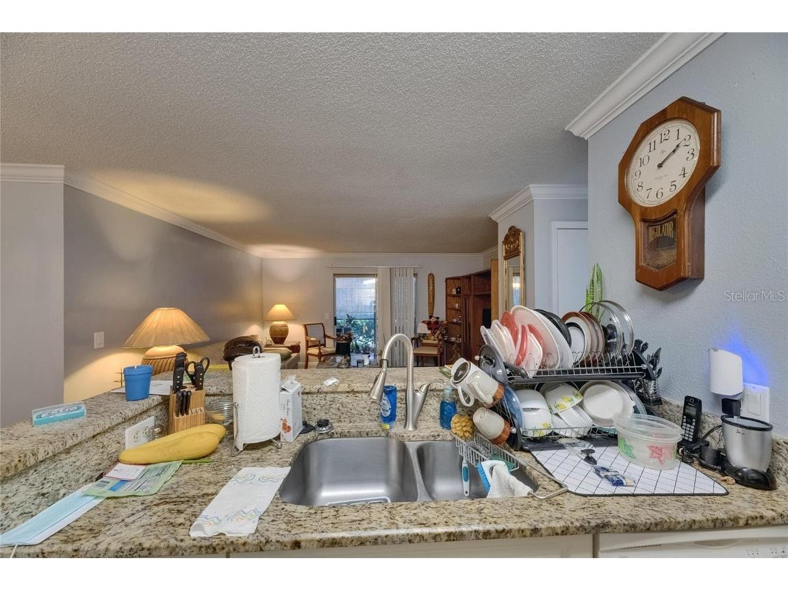 9481 Highland Oak Drive #1511 Tampa FL 33647 TB8390685 image16