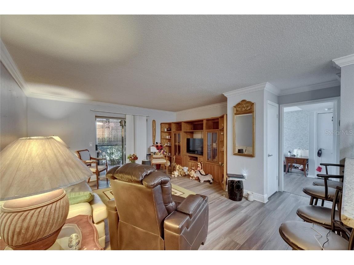 9481 Highland Oak Drive #1511 Tampa FL 33647 TB8390685 image7