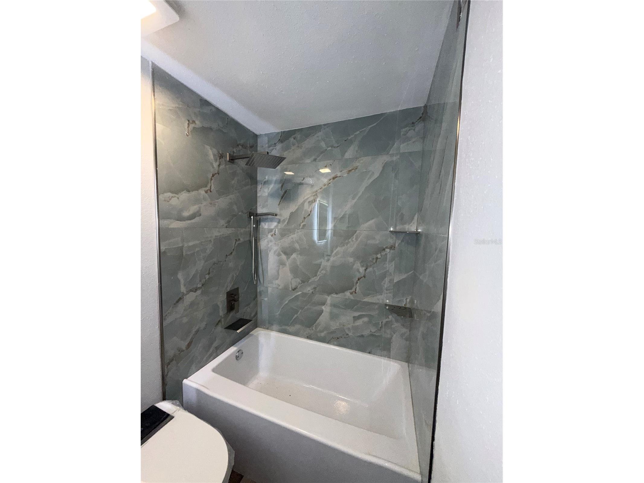 9481 Highland Oak Drive #1611 Tampa FL 33647 TB8501904 image47