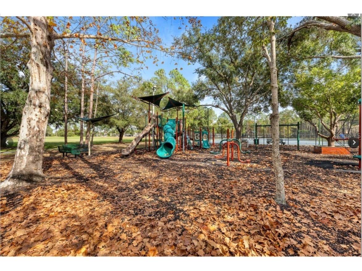 9481 Highland Oak Drive #1611 Tampa FL 33647 TB8501904 image56