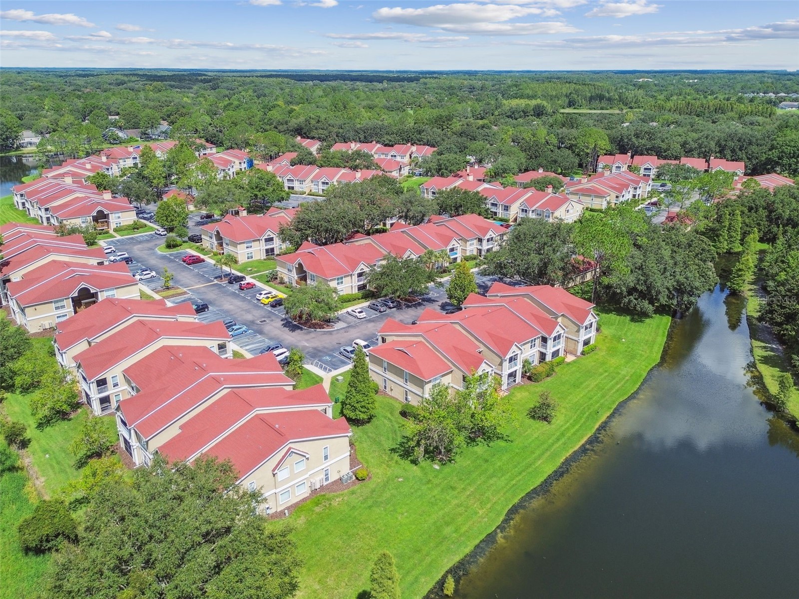 9481 Highland Oak Drive #1615 Tampa FL 33647 TB8500558 image53