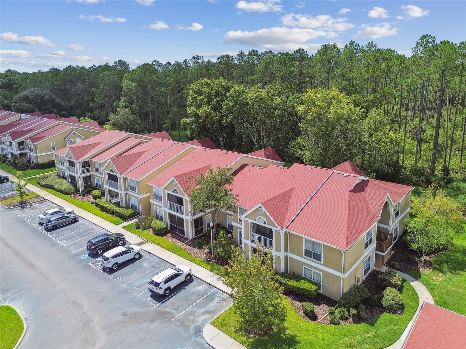 9481 Highland Oak Drive #1615 Tampa FL 33647 TB8500558 image56