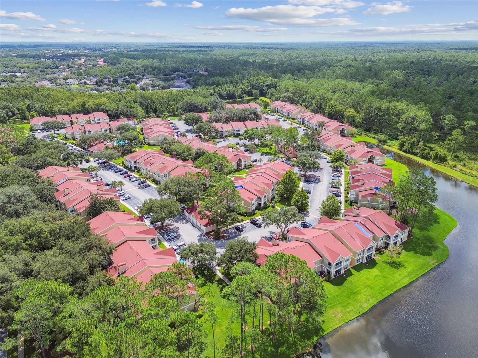 9481 Highland Oak Drive #1615 Tampa FL 33647 TB8500558 image59