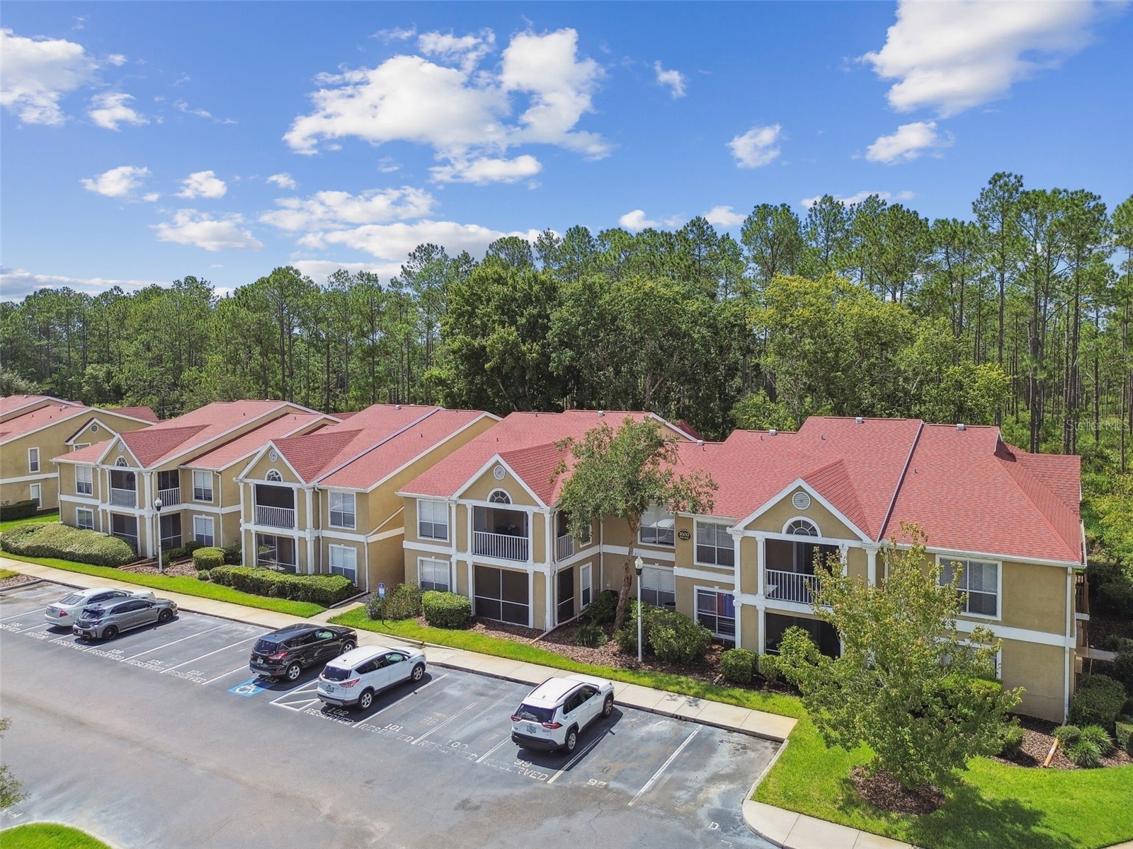 9481 Highland Oak Drive #1615 Tampa FL 33647 TB8500558 image60