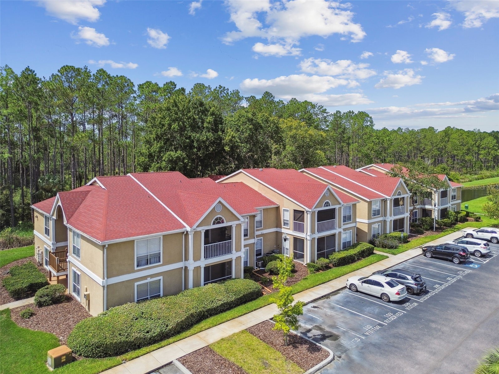 9481 Highland Oak Drive #1615 Tampa FL 33647 TB8500558 image61